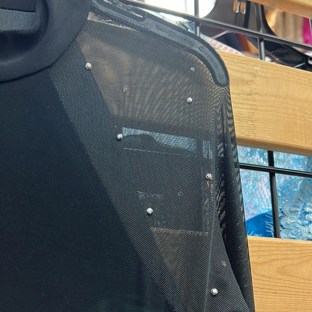 NWT,Marina dress Raglan Beaded Mesh Long Sleeve Crew Neck Jersey Sheath Gown - Picture 15 of 17